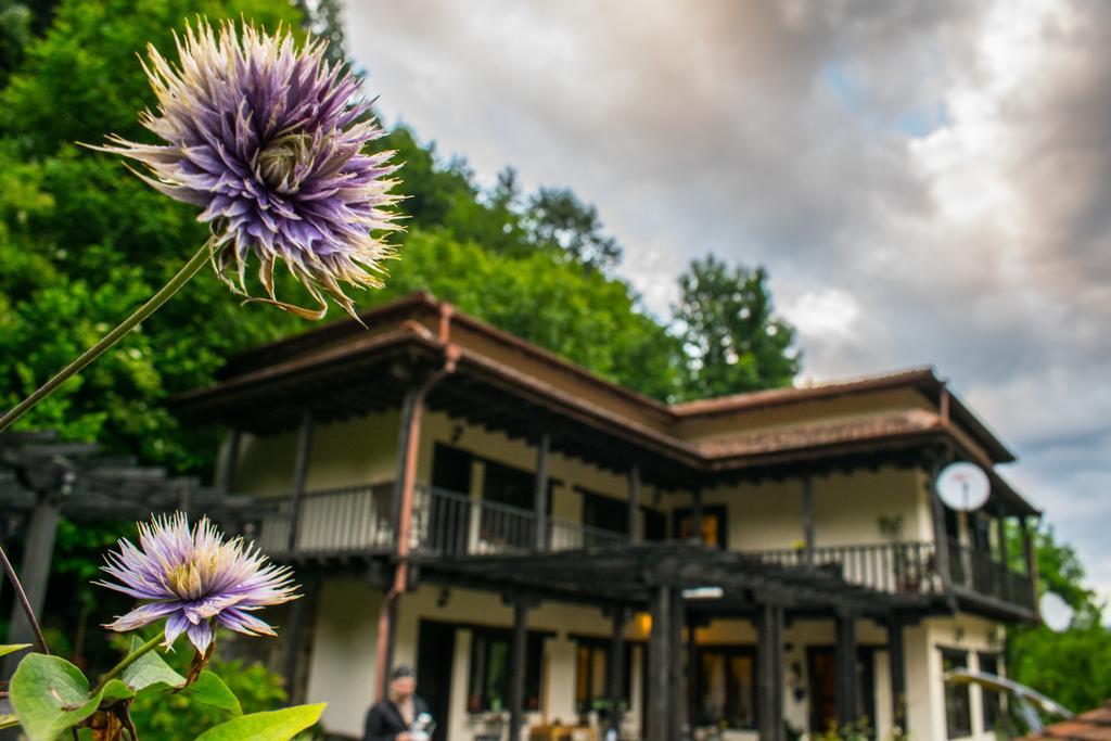 אפרילצי Guest House Verbena מראה חיצוני תמונה